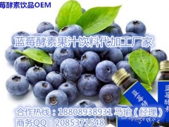 蓝莓酵素果汁饮料OEM30-50ml/瓶贴牌代加工生产基地图1