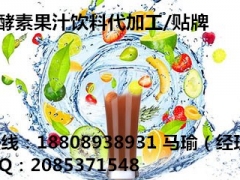 30-100ml水果酵素果汁饮料代加工厂家 十万级净化车间图2