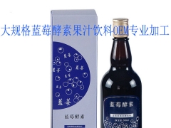 50ml蓝莓酵素果汁饮OEM代工，上海孚吉微商加工定制图2