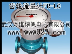 供应消防系统用流量计 转子流量计 FR-LZB图1