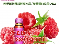 果蔬饮品oem厂樱桃酵素OEM，樱桃酵素OEM图2