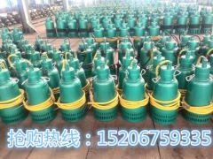 山东BQS180-250/5-250N隔爆排沙潜水泵生产厂家图1