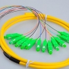 广电专用SC APC12芯束状尾纤 束状跳线 光纤跳线尾纤
