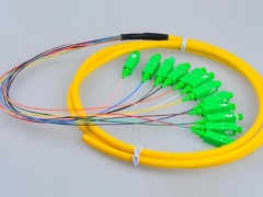 广电专用SC APC12芯束状尾纤 束状跳线 光纤跳线尾纤图3