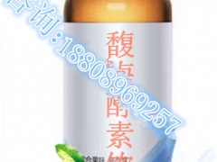 50ml水果酵素饮加工、酵素OEM(玻璃瓶)图1