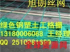 河北省钢塑土工格栅路基塑钢格栅厂家图2
