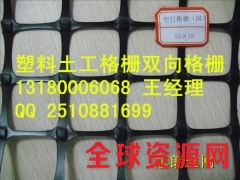 河北省塑料土工格栅双向拉伸土工格栅生产厂家图1