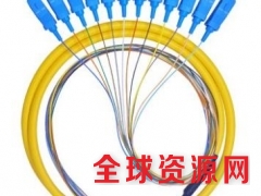 电信级12芯束状尾纤SC UPC单模束状长1.2米图1