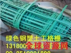 河北省植物攀藤钢塑土工格栅绿色钢塑格栅厂家图2