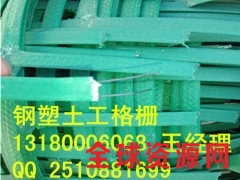 河北省植物攀藤钢塑土工格栅绿色钢塑格栅厂家图3