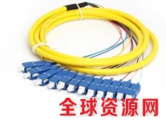 12芯束状尾纤SC方头单模光纤跳线电信级尾纤图2