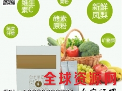 果蔬纤维代餐粉代加工贴牌研发厂家图3