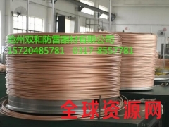 铜包钢圆线导电率30%，铜覆钢圆钢导电率40%河北厂家可定制图1