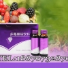 多莓果味饮品加工贴牌、上海实力灌装厂家