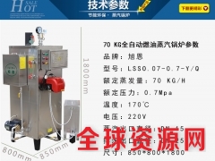 旭恩30KG全自动燃油蒸气锅炉小型馒头不锈钢工业柴油锅炉图3