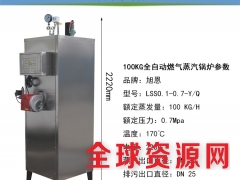 旭恩100kg燃气锅炉商用节能环保液化气不锈钢锅炉图3