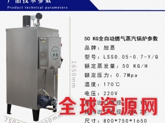 旭恩50KG燃气蒸汽锅炉小型商用立式工业锅炉图3