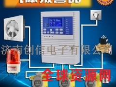 乙烷气体报警器图1