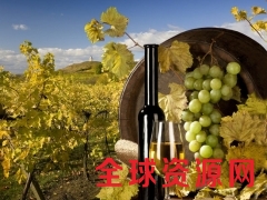 郑州红酒进口代理|郑州葡萄酒进口代理公司图3