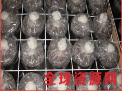 厂家直供蘑菇出菇网片 食用菌培育支架网格 量大从优价格优惠图3