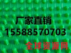 武汉4公分蓄排水板每平米多少钱和桂林25高排水板经销商图1