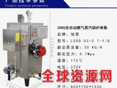 广东省旭恩30KG天然气蒸汽发生器评价图3