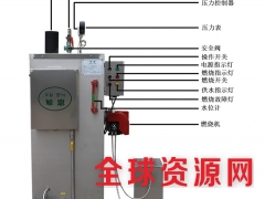 广东省80KG燃油蒸汽发生器厂家直销图1