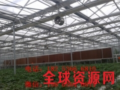 河南花卉种植大棚 单面日光蔬菜大棚图1