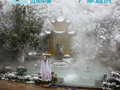 温泉飘雪机价格 温泉飘雪机厂家图1