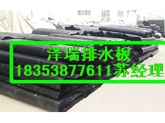 车库专用2公分排水板北京绿化专用蓄排水板图1