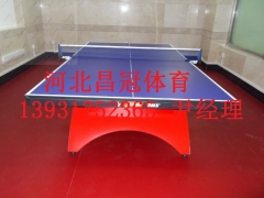 新国标乒乓球台生产厂家图2