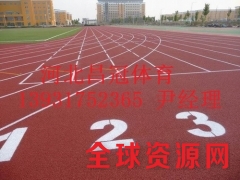 学校塑胶跑道生产厂家图1