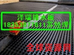 供应%屋面种植排水板（天津）车库绿化排水板图1
