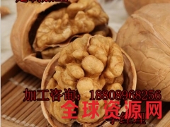 红豆薏米核桃贴牌加工厂家图2