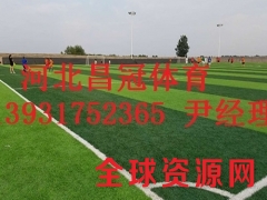 足球场人造草坪生产厂家质优价廉图3
