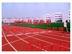 学校塑胶跑道生产厂家专业施工图2