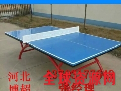 室外乒乓球台优质生产厂家图1