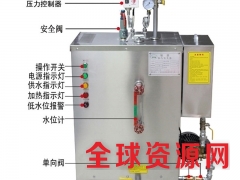 蒸汽发生器全自动电加热商用家用煮豆浆小型工业锅炉图3