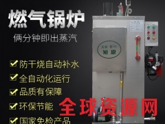 蒸汽燃气锅炉发生器全自动 立式智能小型天然气不锈钢蒸汽机图1