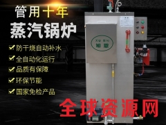 蒸汽锅炉液化气燃气热水炉商用蒸汽发生器大型锅炉图2