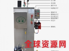 天然气蒸汽发生器锅炉 全自动低压小型燃气工业智能补水蒸汽锅炉图2