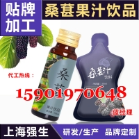 代工生产30ML异形袋桑葚果汁饮品OEM加工厂