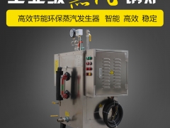 商用36KW电加热蒸汽锅炉小型工业电热蒸汽发生器全自动图1