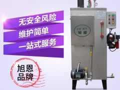 旭恩40kg燃气蒸汽锅炉商用天然液化气小型蒸汽发生器图1