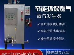 旭恩40kg燃气蒸汽锅炉商用天然液化气小型蒸汽发生器图2