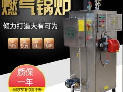 旭恩60kg燃气蒸汽锅炉商用天然液化气小型蒸汽发生器图1