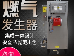 旭恩60kg燃气蒸汽锅炉商用天然液化气小型蒸汽发生器图2