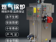 旭恩60kg燃气蒸汽锅炉商用天然液化气小型蒸汽发生器图3