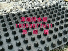 重庆车库顶板排水板（现货供应）车库蓄排水板图1