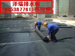 临沂车库顶板排水板/绿化隔根板厂家18353877611图1